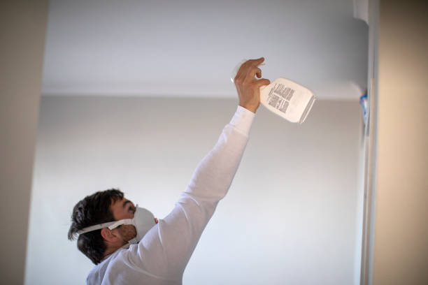 Best Commercial Mold Removal  in Branford Center, CT